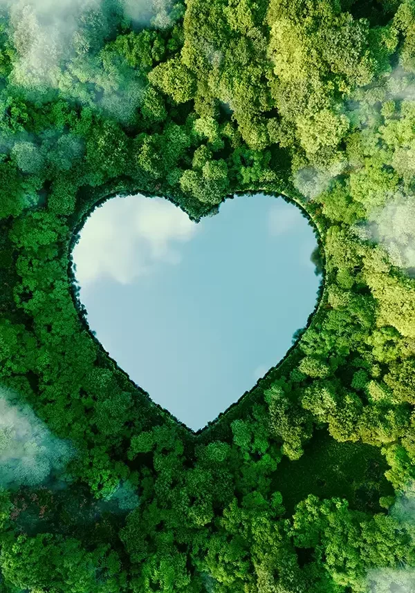 Heart-shaped lake in a forest | Christian Brothers Flooring & Interiors