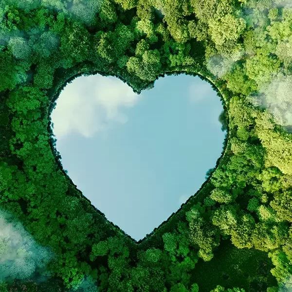 Heart-shaped lake in a forest | Christian Brothers Flooring & Interiors