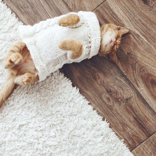 Pet Friendly Hardwood Floor | Christian Brothers Flooring & Interiors.